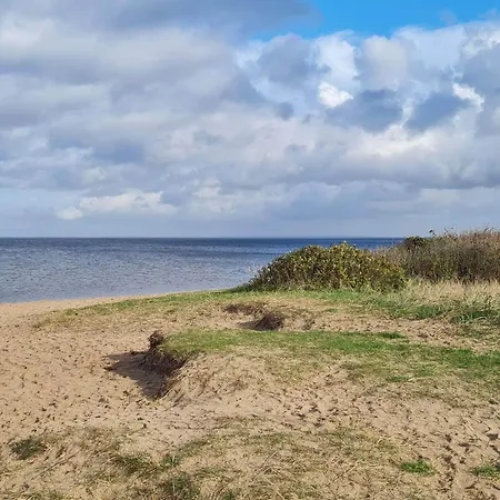 6 Person In Tarm-by Traum Tarm